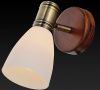 Спот Toplight Sharyl (Схарыл) TL3720Y-01BB