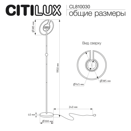 Торшер Citilux Loong (Лоонг) CL810030