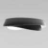 Светильник потолочный Loft It Petale 10256 Black