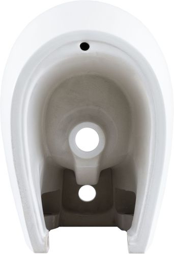 Биде Allen Brau Fantasy 4.11006.21 подвесное - фото 4