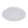 Светильник потолочный Loft It Brim 10226 White