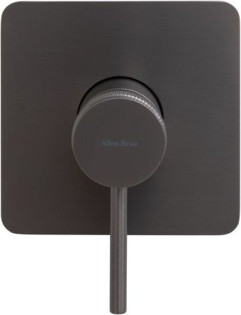 Смеситель для душа Allen Brau Priority 5.31012-MG встраиваемый в стену серый