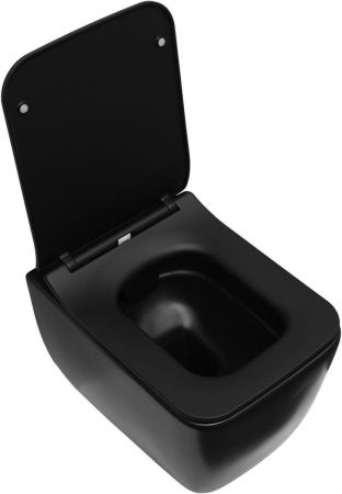 Чаша унитаза подвесная Allen Brau Liberty 4.33007.31 цвет черный без сиденья безободковая каскадный смыв