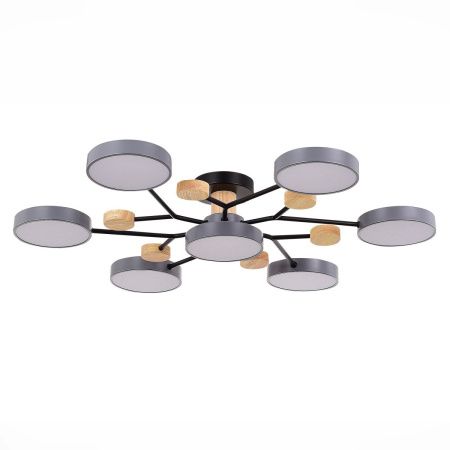 Люстра на штанге Evoluce Faema (Фаема) SLE6006-702-07