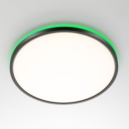 Светильник потолочный Citilux Norma (Норма) CL749401