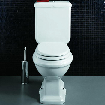 Чаша унитаза напольная Simas Arcade AR821bi цвет белый без бачка без сиденья душевой смыв