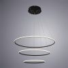 Светильник подвесной Arte Lamp Rapid (Рапид) A2500SP-3BK