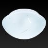 Настенно-потолочный светильник Toplight Mae (Мае) TL9401Y-01WH