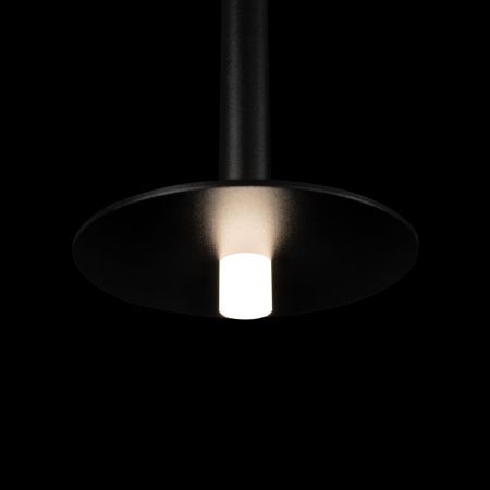 Светильник подвесной Loft It Reed 10358/830 Disk