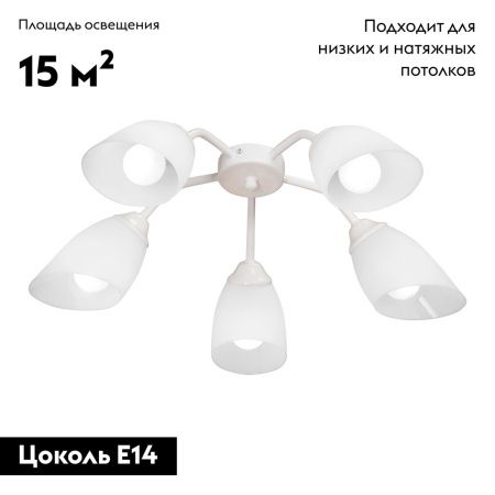 Люстра потолочная Vitaluce V31950/5PL