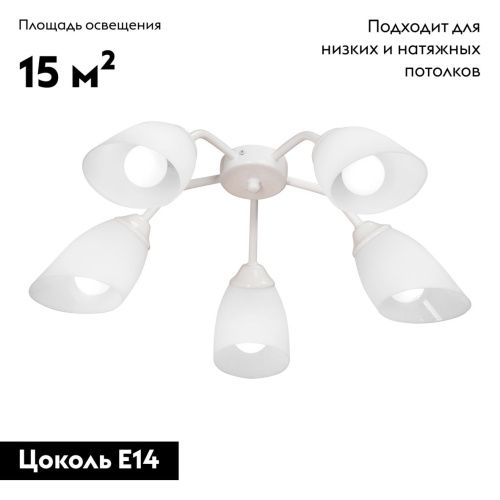 Люстра потолочная Vitaluce V31950/5PL - фото 2