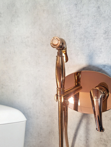 Гигиенический душ со смесителем AltroBagno Beatrice AltroBagnoBeatrice060114ROr розовое золото - фото 3