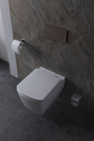 Чаша унитаза подвесная Allen Brau Liberty 4.33004.20 цвет белый без сиденья безободковая каскадный смыв