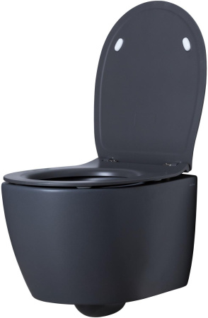 Чаша унитаза подвесная Allen Brau Fantasy 4.11004.AN цвет черный без сиденья безободковая каскадный смыв