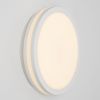 Светильник потолочный Citilux Luns (Лунс) CL711010V