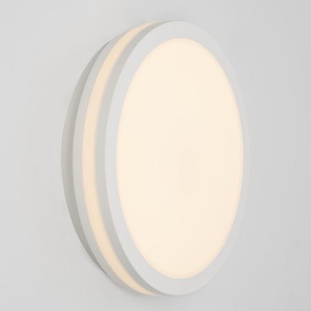 Светильник потолочный Citilux Luns (Лунс) CL711010V