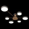 Светильник потолочный Loft It Sunrise 10316/6 Grey