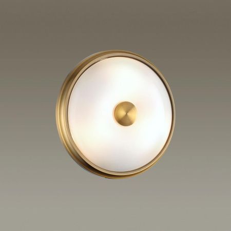 Настенно-потолочный светильник Odeon Light Pelow (Пелов) 4956/2