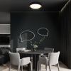 Светильник потолочный Loft It Coin 10202 BB