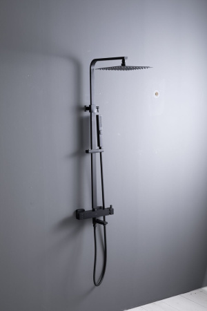 Душевая стойка Allen Brau Infinity 5.21029-31 настенная цвет черный