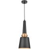 Светильник подвесной Vele Luce Appassionato (Аппассионато) VL2141P01