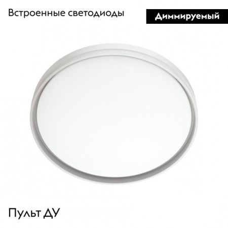 Настенно-потолочный светильник Sonex SAVI (САВИ) 7631/DL