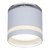 Светильник накладной Reluce 53001-9.5-001LD GX53+LED3W WT