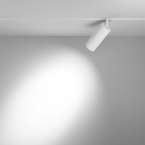 Светильник трековый Maytoni Technical Focus LED TR032-4-20WTW-M-DSZ-W - фото 4