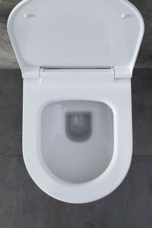 Чаша унитаза подвесная Allen Brau Priority 4.31001.20 цвет белый без сиденья безободковая каскадный смыв