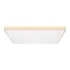 Светильник потолочный Loft It Flims 10228/E