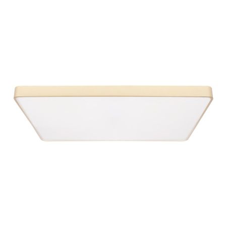 Светильник потолочный Loft It Flims 10228/E