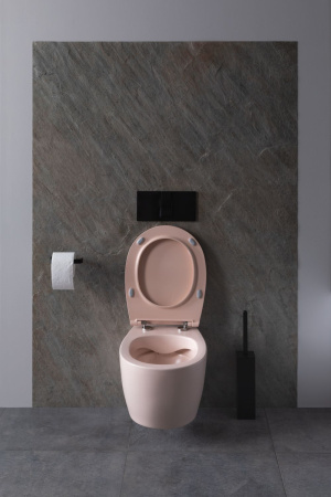 Чаша унитаза подвесная Allen Brau Fantasy 4.11004.SM цвет розовый без сиденья безободковая каскадный смыв