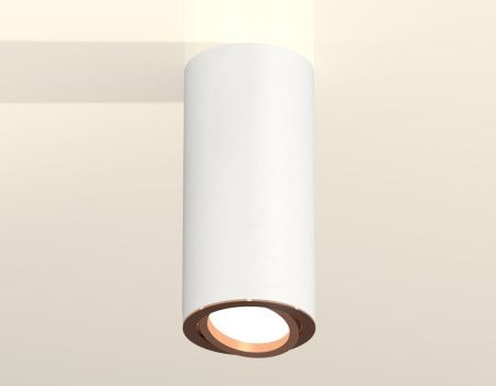 Светильник накладной Ambrella Light Techno (Тецхно) XS7442005