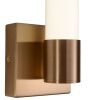 Светильник настенный Zortes Tube (Тубе) ZRS.17004.6