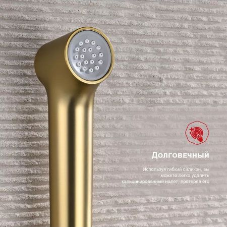 Гигиенический душ со смесителем Raglo R03 R03.52.03 золото