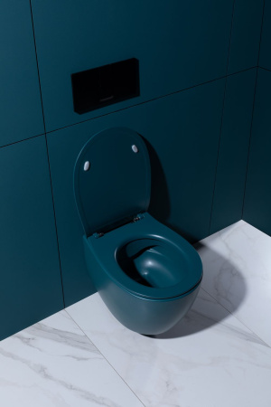 Чаша унитаза подвесная Allen Brau Fantasy 4.11004.PT цвет зеленый без сиденья безободковая каскадный смыв