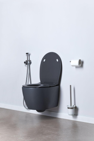 Чаша унитаза подвесная Allen Brau Fantasy 4.11004.AN цвет черный без сиденья безободковая каскадный смыв