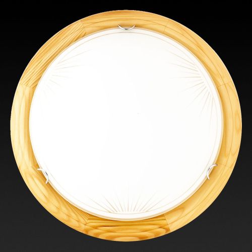 Светильник настенный Toplight Wifa (Вифа) TL9144Y-02PN - фото 2