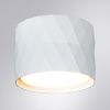 Светильник накладной Arte Lamp Fang (Фанг) A5552PL-1WH