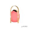 Настольная лампа iLedex Giggle (Гиггле) OVS1100-CH WH
