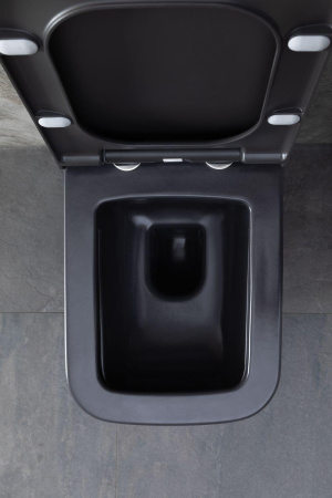 Чаша унитаза подвесная Allen Brau Infinity 4.21011.AN цвет черный без сиденья безободковая каскадный смыв