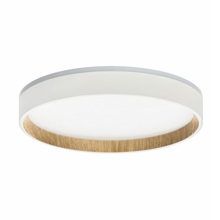 Светильник потолочный музыкальный Citilux Etalon (Еталон) CL750240