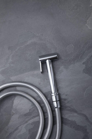 Гигиенический душ Allen Brau Priority 5.31028-00 хром