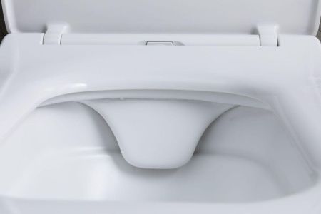 Чаша унитаза подвесная Allen Brau Liberty 4.33007.21 цвет белый без сиденья безободковая каскадный смыв
