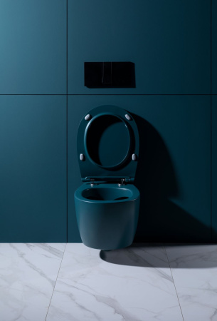 Чаша унитаза подвесная Allen Brau Fantasy 4.11004.PT цвет зеленый без сиденья безободковая каскадный смыв