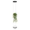 Светильник подвесной Loft It Jardin 10121/1P Dark grey