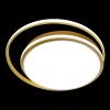 Люстра потолочная Natali Kovaltseva LED LAMPS (ЛЕД ЛАМПС) LED LAMPS 81315