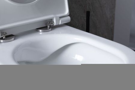 Комплект унитаз с инсталляцией и клавишей смыва Allen Brau Reality 00316510