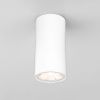 Уличный потолочный светильник Elektrostandard Light Led (Лигхт Лед) 4690389176555