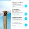 Донный клапан Wellsee Drainage System 182131000 золото
